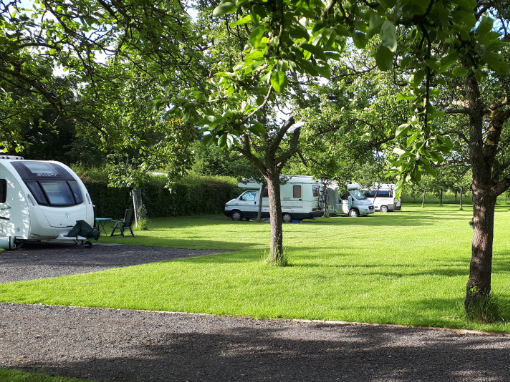 Campsite with caravan and motorhomes